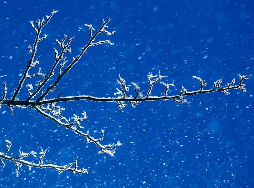 Winter Arrives: When is the 2025 Winter Solstice?