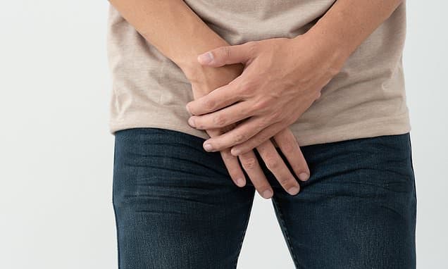 Nature's Extremes: Why Human Penises Are So 'Conservative'