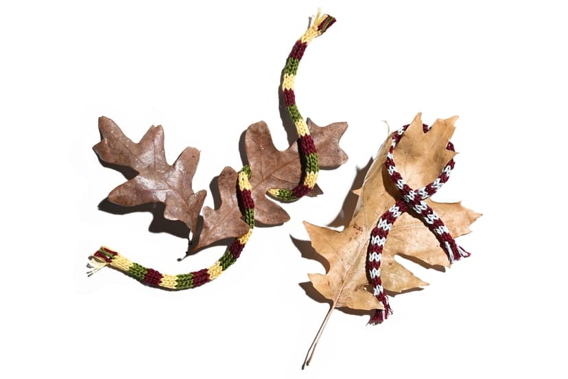 Trees Keep Dead Leaves: Nature's Winter Mystery Solved