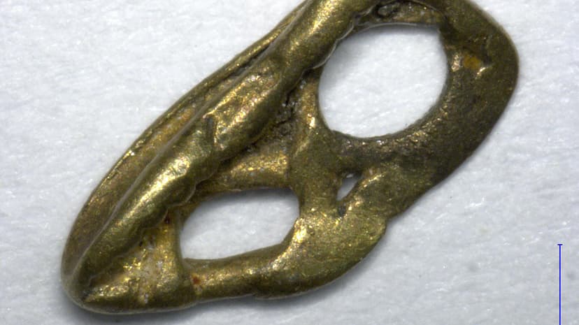 Pirate treasure debunks ancient gold scam claims