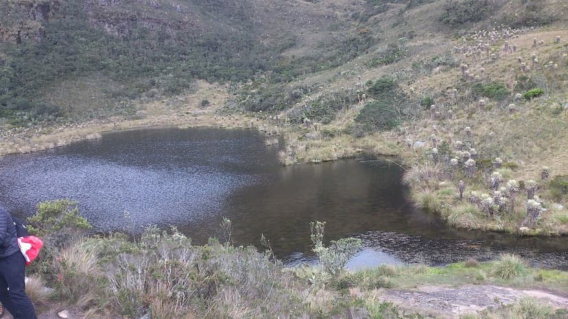 Wildfire Threatens Sacred Muisca Lagoon
