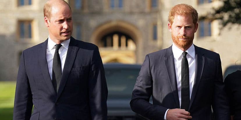 William Skips Diana Doc Amid Harry Feud