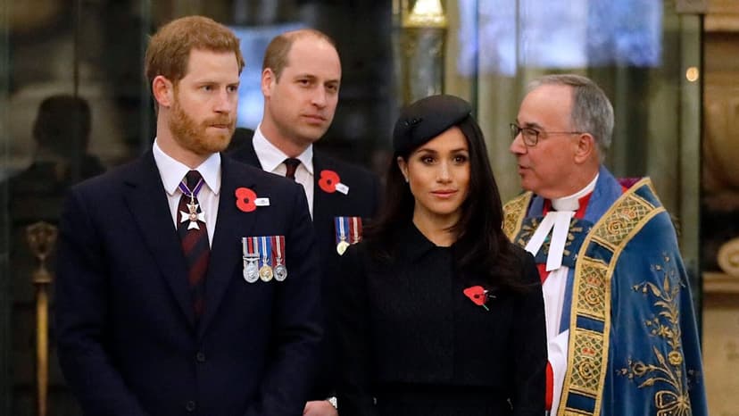 William: Harry & Meghan's Visit 'Distasteful'