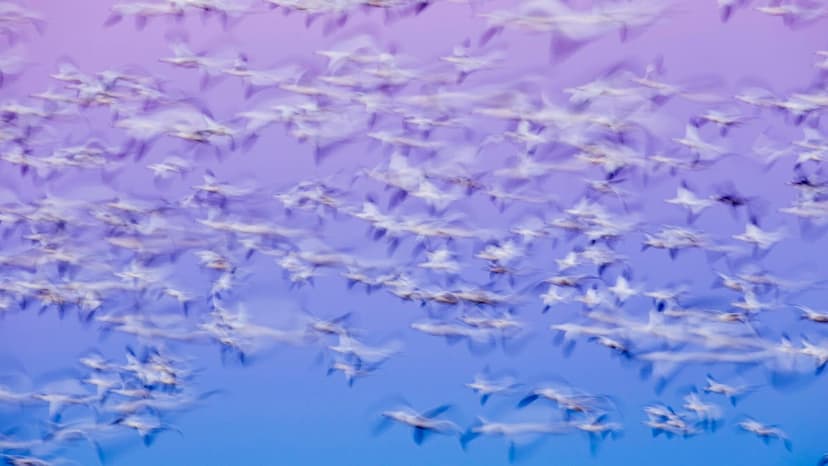 Linux Gaming Soars: NTSYNC Delivers 678% Performance Boost!