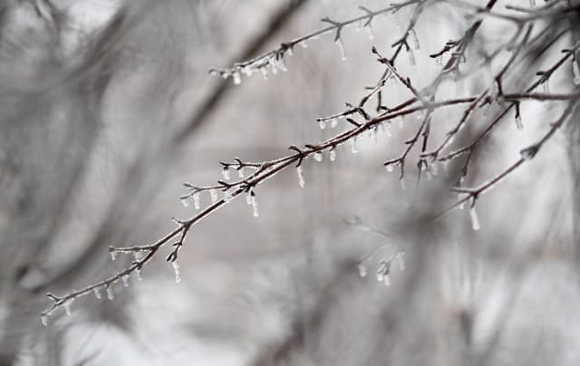Winter's Grip: Snow, Sleet, and Freezing Rain Ahead