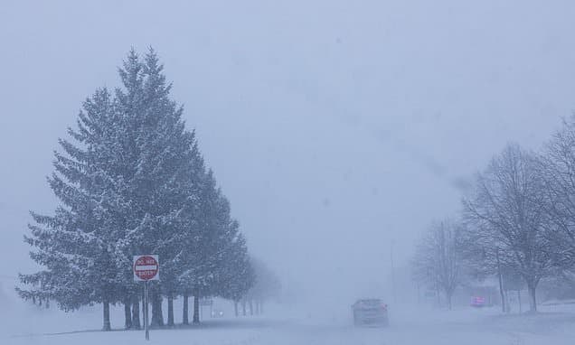 Decoding Winter Storms: From Snow to Freezing Rain