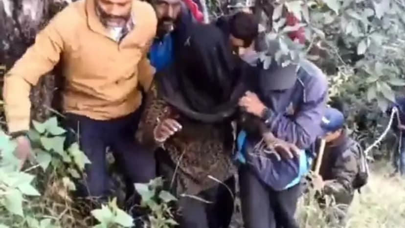 Woman's Face Ripped Off by Bear in Forest Attack