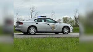 Tree Crushes Woman in Fatal Ohio Car Crash