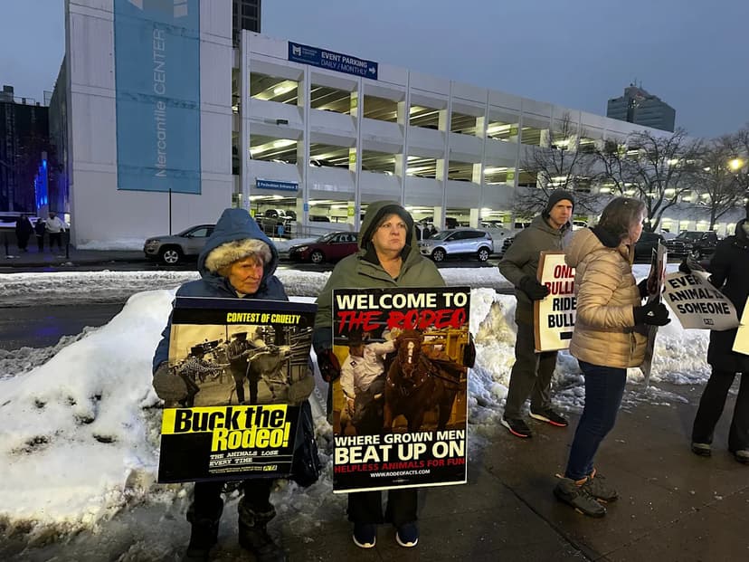 Worcester Rodeo Sparks Outrage and Excitement