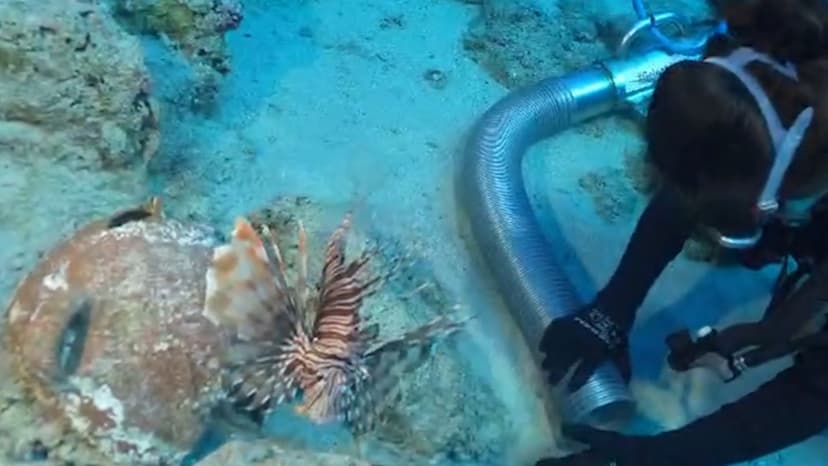 World's Oldest Shipwreck Reveals Daily Life