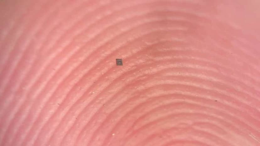 World's Smallest Robots Programmed