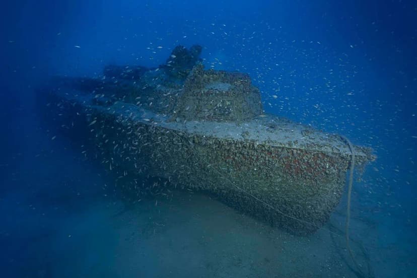 WWII German Boat Found Intact After 80 Years