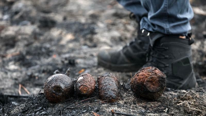 WWII Shells Emerge From Wildfire Scars