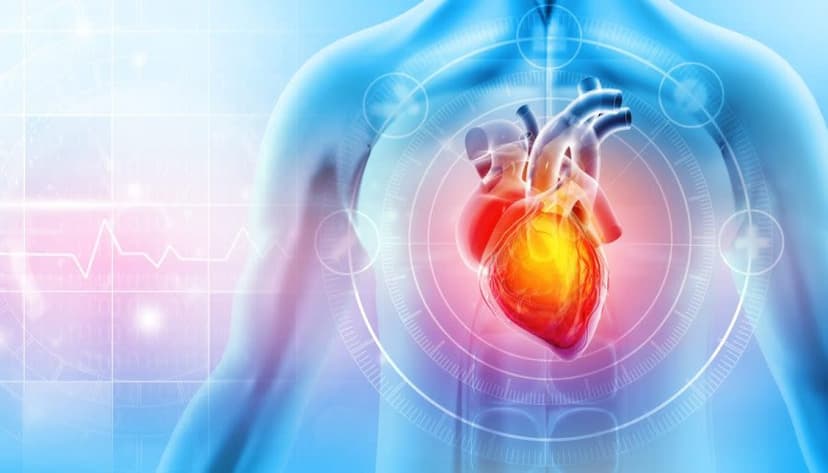 Sweetener Xylitol Linked to Heart Attack Risk
