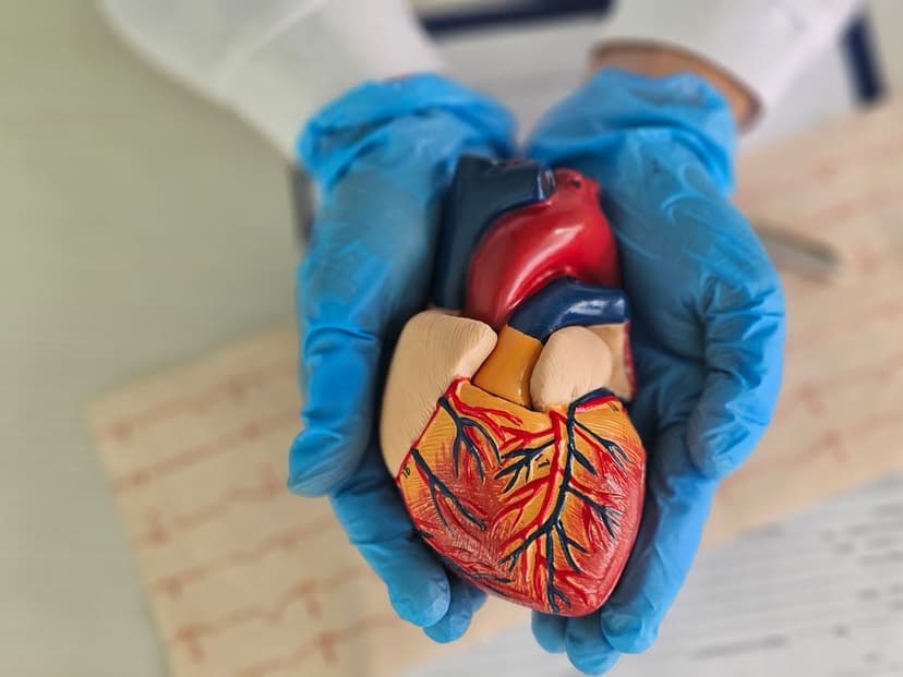 Sweetener Xylitol Linked to Heart Events
