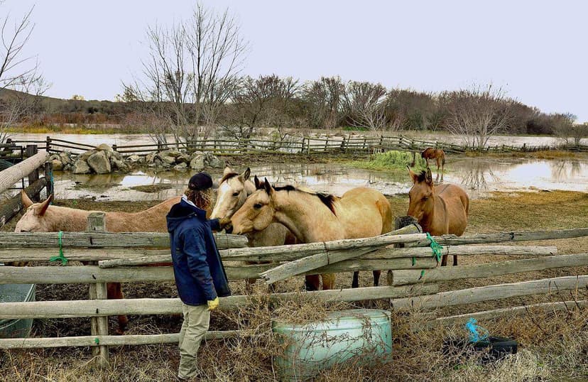Yakima River Swells to 30-Year High