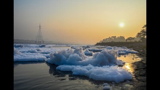 Yamuna River: Delhi's Water Quality Plummets