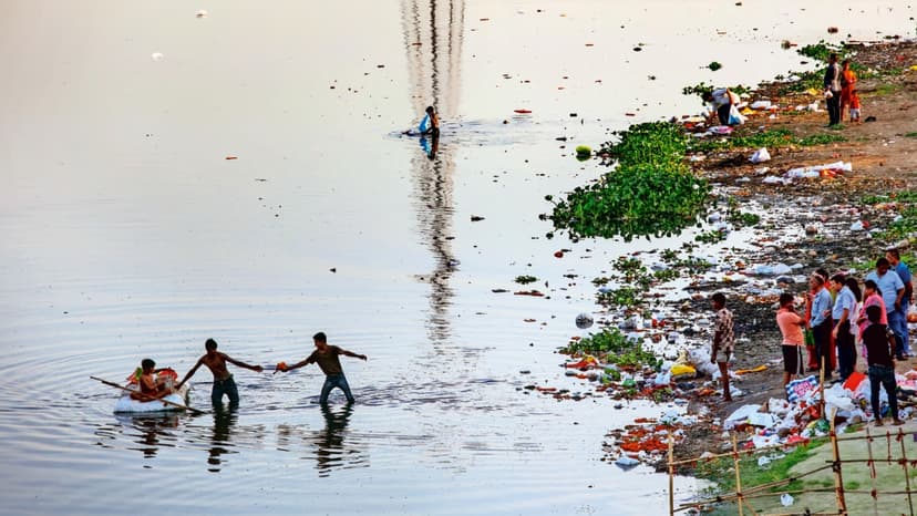Yamuna's Toxic Bloom: Fish Die-Off Sparks Alarm