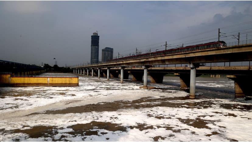Yamuna River Chokes on Sewage: Pollution Levels Spike