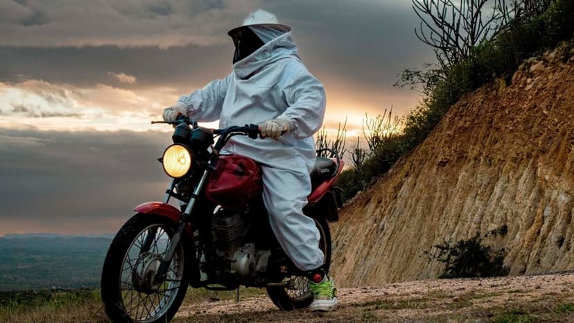 Mosquito Experiment Goes Nuclear in Brazil