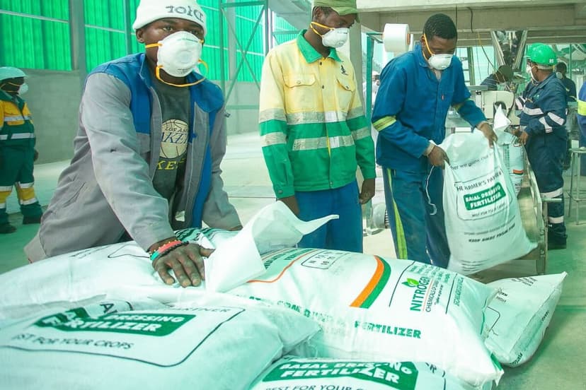 El Niño Looms: Zambia Faces Food Security Fears