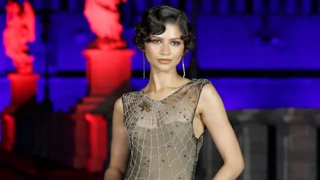 Zendaya Pairs Sheer Dress With Pants for Viral Look