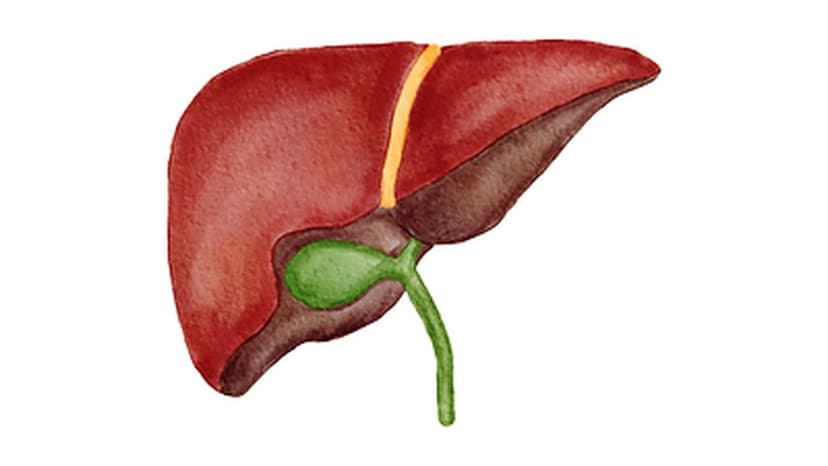 Zydus Ahmedabad: 300 Liver Transplants Milestone